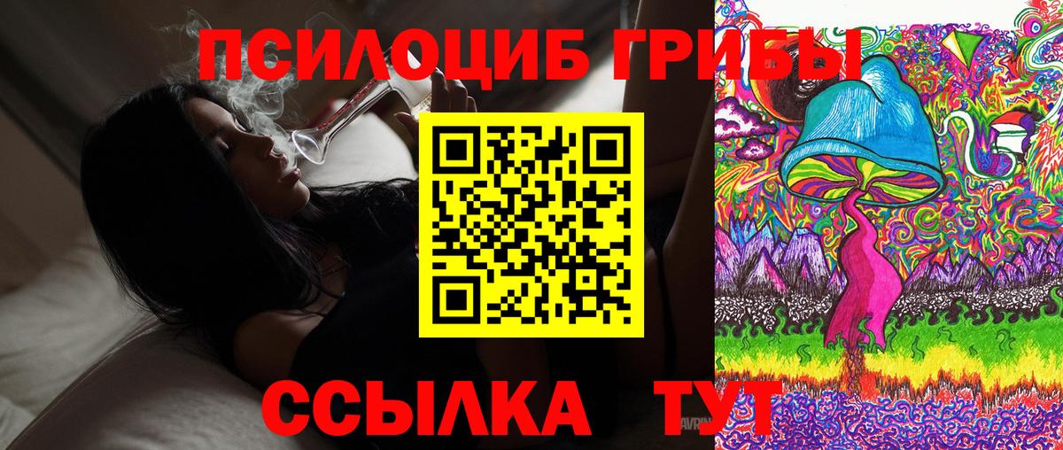 Псилоцибиновые грибы GOLDEN TEACHER Богородицк